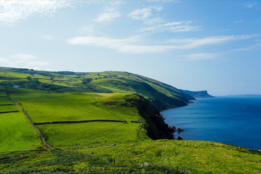 Grassy coastal farmland with dry stone walls above the sea