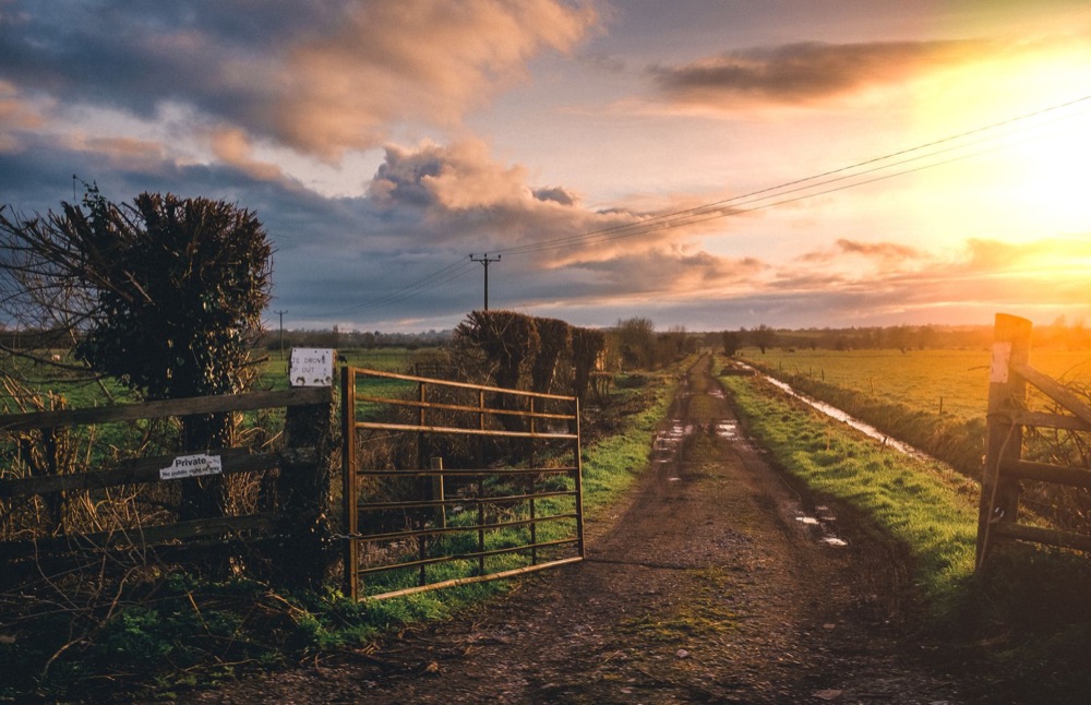 Farm gate on a rural single-track lane