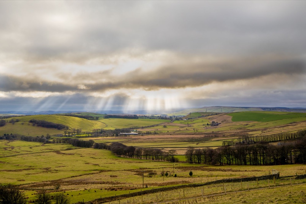 Rolling green farmland in rural Pembrokeshire
